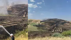 Anız yangınının meyve bahçesine sıçraması sonucu 100 ağaç zarar gördü