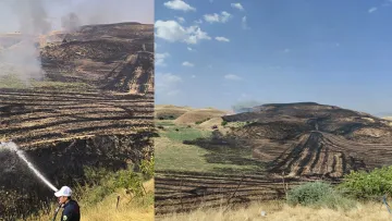 Anız yangınının meyve bahçesine sıçraması sonucu 100 ağaç zarar gördü