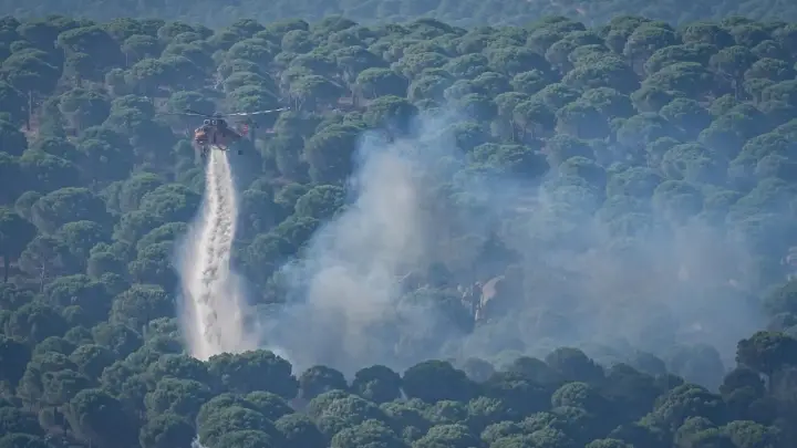 Son bir haftada çıkan yangınlarla ilgili iki kişi tutuklandı