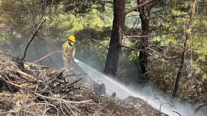 Alanya'da ormanlık alanda çıkan yangın kontrol altına alındı