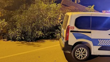 Konya'da Yola Devrilen Ağaç Ulaşımın Kısıtlanmasına Yol Açtı