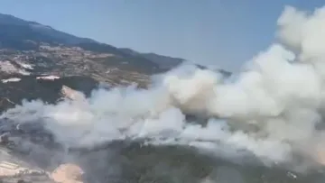 Balıkesir Sındırgı İlçesindeki Ormanlık Alanda Yangın Başladı