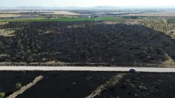 Konya'da Rüzgarın Etkisiyle Büyüyen Yangında 150 Dekarlık Ağaçlık Alan Zarar Gördü