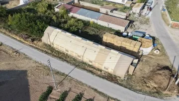 Aksaray'da uygulanan Portatif Çadır Ağıl Projesi sürüleri koruyor