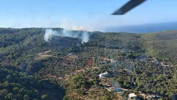 Fethiye ve Köyceğiz'deki Yangınlar Kontrol Altına Alındı