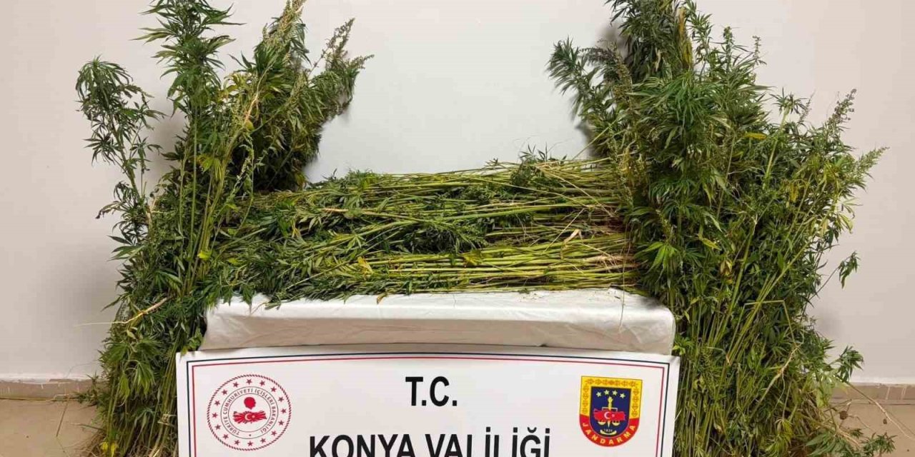 Konya Jandarmasının Bir Aylık Uyuşturucu Mücadelesi Bilançosu Açıklandı