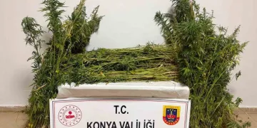 Konya Jandarmasının Bir Aylık Uyuşturucu Mücadelesi Bilançosu Açıklandı