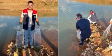 Konya Genelindeki Göletler Yavru Sazanlarla Buluştu