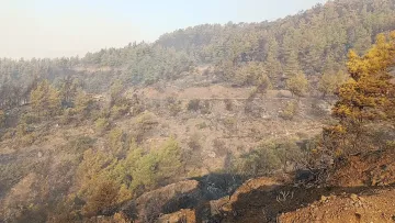 Kumluca'da Meydana Gelen Orman Yangını Kısmen Kontrol Altına Alındı