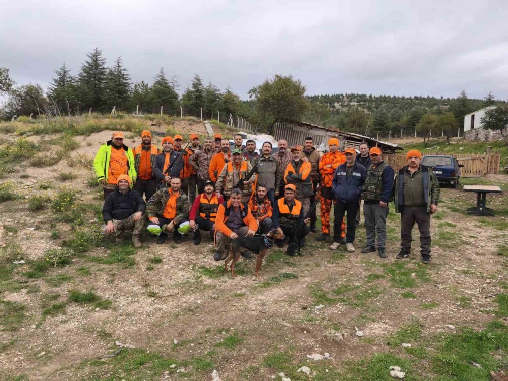 Tarım Alanlarına Zarar Veren Yaban Domuzlarına Yönelik Operasyon Düzenlendi haber fotoğrafı