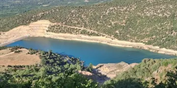 Konya genelinde yürütülen sulama çalışmalarıyla 5 bin dekarlık alan suya kavuşuyor