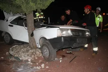 Beyşehir'de Otomobil Refüjdeki Ağaca Çarptı: 2 Yaralı