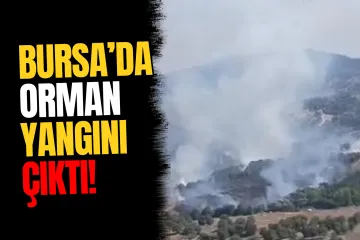 Bursa Orhaneli'nde Orman Yangını