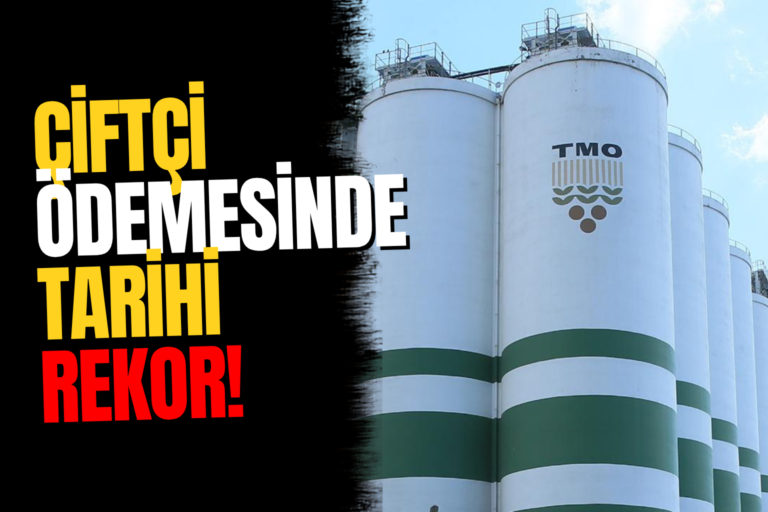 Çiftçinin Hesabına 170 Milyar Lira Yattı! TMO Rekor Kırarak Tüm Ürünleri Aldı
