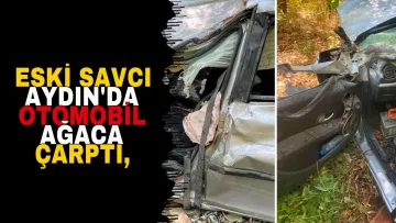 Otomobil ağaca çarptı - Eski savcı öldü, eşi yaralandı