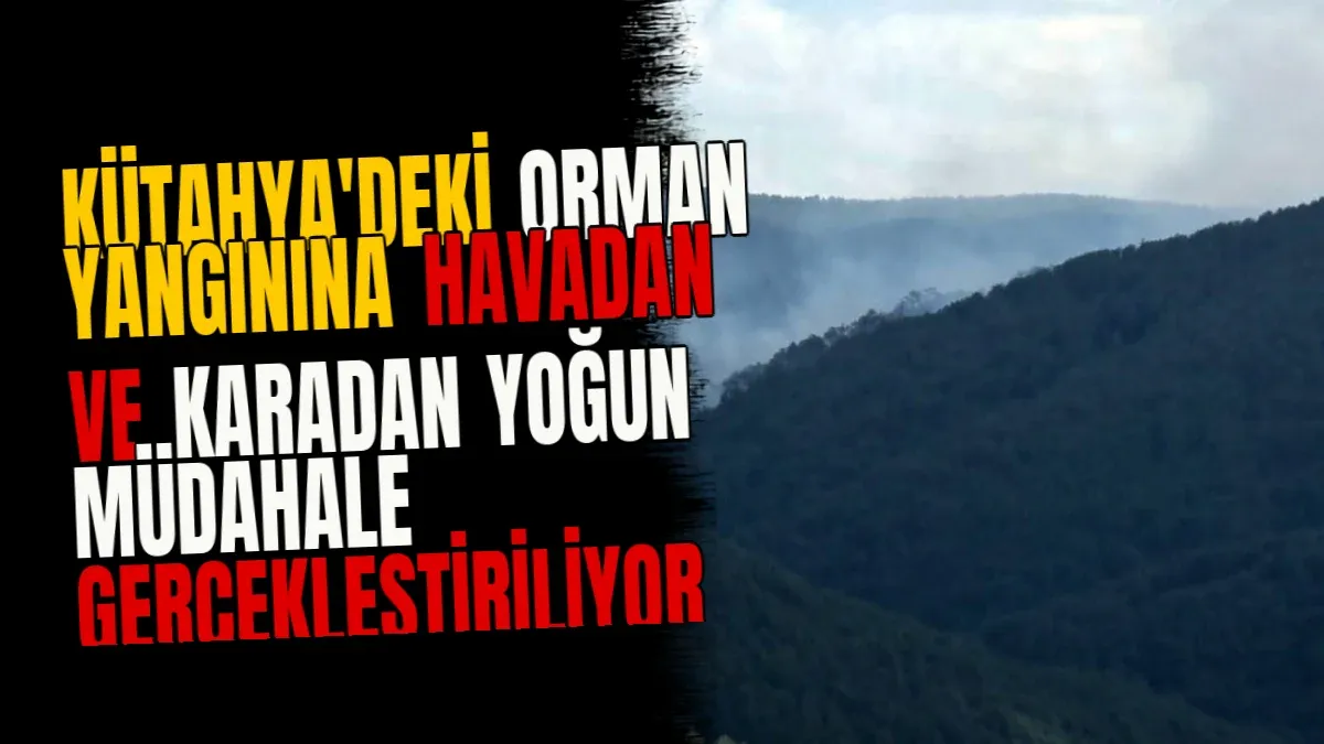 Kütahya'deki orman yangınına havadan ve karadan yoğun müdahale gerçekleştiriliyor