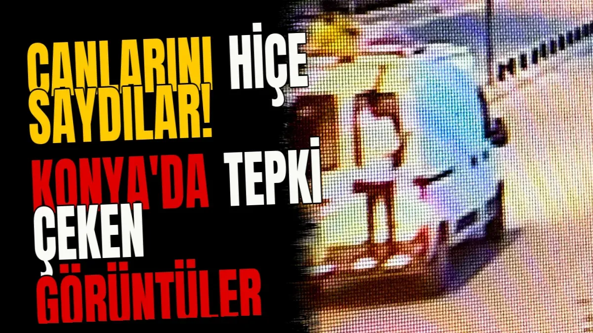 Canlarını hiçe saydılar! Konya'da tepki çeken görüntüler