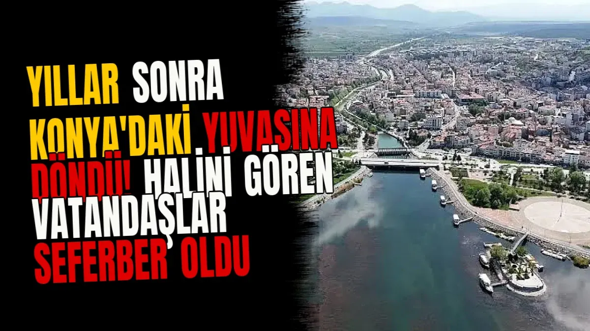 Yıllar sonra Konya'daki yuvasına döndü! Halini gören vatandaşlar seferber oldu