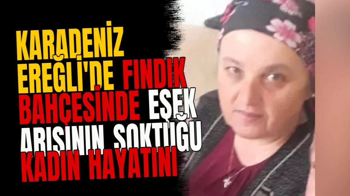 Karadeniz Ereğli'de fındık bahçesinde eşek arısının soktuğu kadın hayatını kaybetti