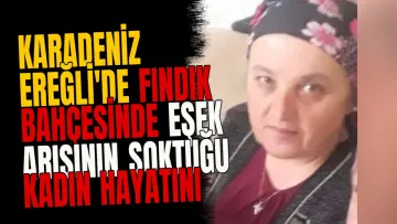 Karadeniz Ereğli'de fındık bahçesinde eşek arısının soktuğu kadın hayatını kaybetti