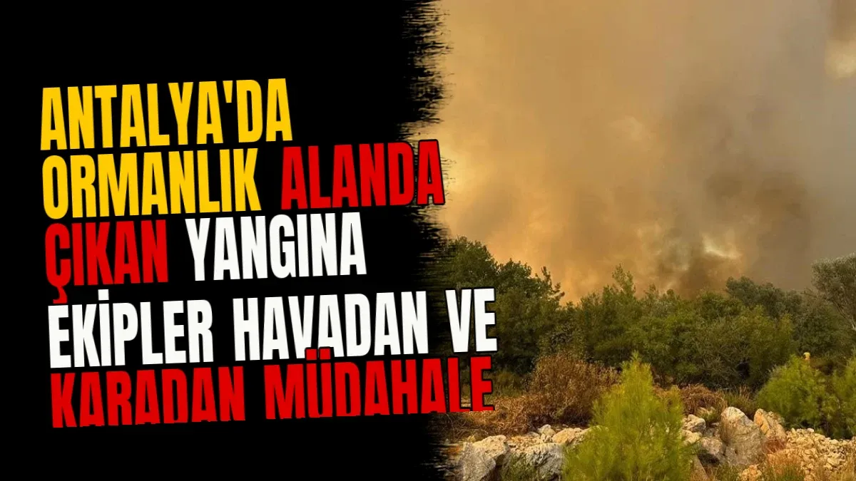 Antalya'da Ormanlık Alanda Çıkan Yangına Ekipler Havadan ve Karadan Müdahale Ediyor
