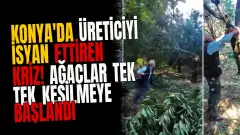 Konya'da üreticiyi isyan ettiren kriz! Ağaçlar tek tek kesilmeye başlandı