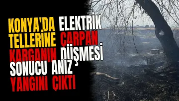 Konya'da elektrik tellerine çarpan karganın düşmesi sonucu anız yangını çıktı