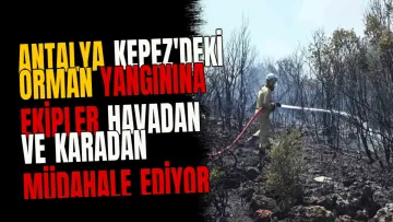 Antalya Kepez'deki orman yangınına ekipler havadan ve karadan müdahale ediyor