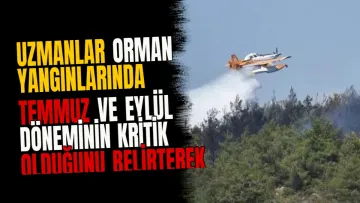 Uzmanlar orman yangınlarında temmuz ve eylül döneminin kritik olduğunu belirterek uyardı