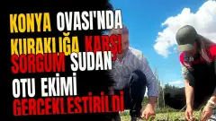 Konya Ovası'nda Kuraklığa Karşı Sorgum Sudan Otu Ekimi Gerçekleştirildi