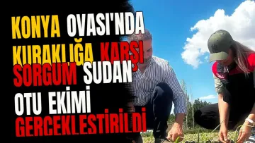 Konya Ovası'nda Kuraklığa Karşı Sorgum Sudan Otu Ekimi Gerçekleştirildi