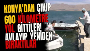 Konya'dan çıkıp 600 kilometre yol gittiler! Avlayıp yeniden bıraktılar