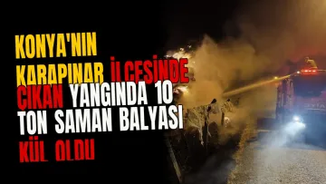 Konya'nın Karapınar ilçesinde çıkan yangında 10 ton saman balyası kül oldu