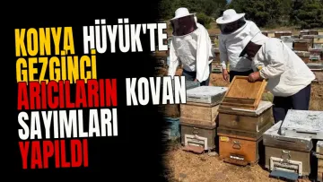Konya Hüyük'te gezginci arıcıların kovan sayımları yapıldı