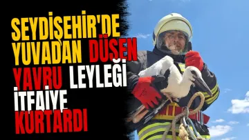 Seydişehir'de yuvadan düşen yavru leyleği itfaiye kurtardı