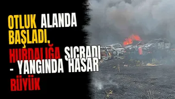 Otluk alanda başladı, hurdalığa sıçradı - Yangında hasar büyük