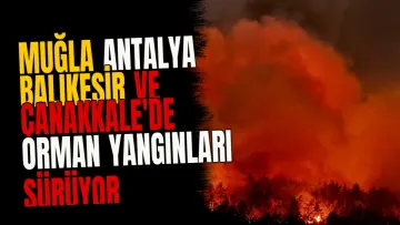 Muğla Antalya Balıkesir ve Çanakkale'de orman yangınları sürüyor