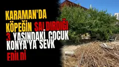 Karaman'da Köpeğin Saldırdığı 3 Yaşındaki Çocuk Konya'ya Sevk Edildi