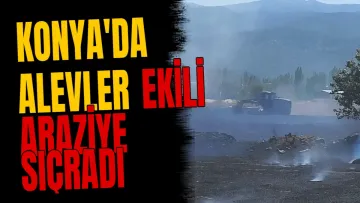 Konya'da alevler ekili araziye sıçradı