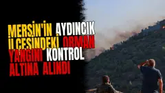 Mersin'in Aydıncık ilçesindeki orman yangını kontrol altına alındı