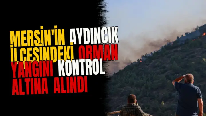 Mersin'in Aydıncık ilçesindeki orman yangını kontrol altına alındı
