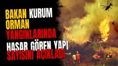 Bakan Kurum orman yangınlarında hasar gören yapı sayısını açıkladı