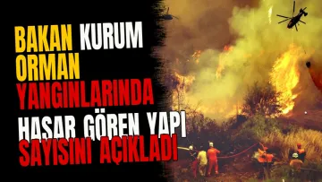 Bakan Kurum orman yangınlarında hasar gören yapı sayısını açıkladı