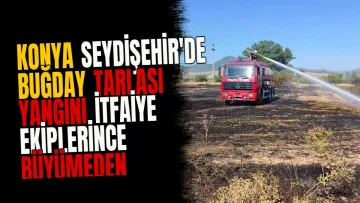 Konya Seydişehir'de buğday tarlası yangını itfaiye ekiplerince büyümeden söndürüldü