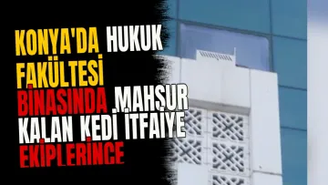 Konya'da Hukuk Fakültesi binasında mahsur kalan kedi itfaiye ekiplerince kurtarıldı