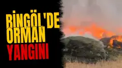 Bingöl'de orman yangını