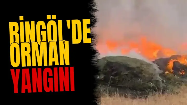 Bingöl'de orman yangını