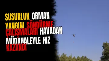 Susurluk orman yangını söndürme çalışmaları havadan müdahaleyle hız kazandı