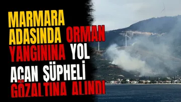 Marmara Adasında orman yangınına yol açan şüpheli gözaltına alındı