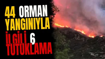 44 orman yangınıyla ilgili 6 tutuklama